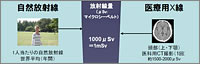 自然放射線と医療用X線の比較　低被曝線量